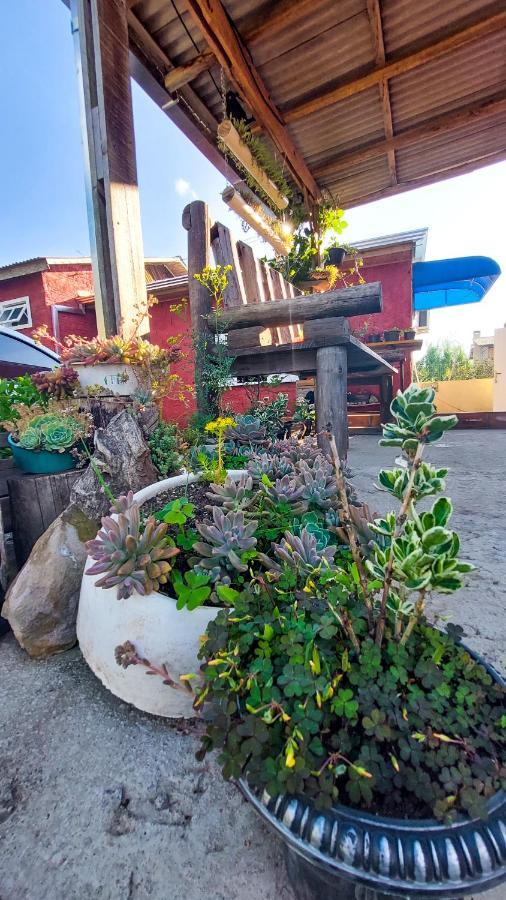 Hostel Cape Town - Cambará Kültér fotó