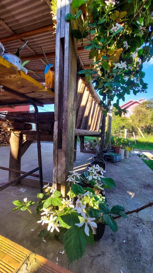 Hostel Cape Town - Cambará Kültér fotó