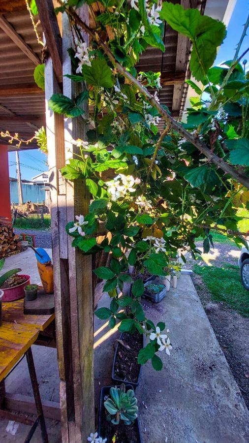 Hostel Cape Town - Cambará Kültér fotó